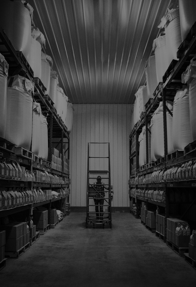 Traditional ecommerce shopping experience